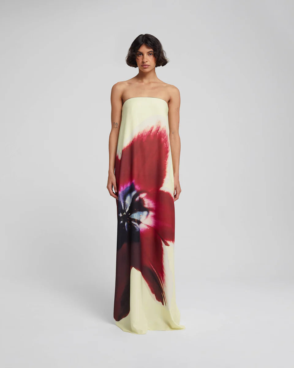 Isabella | Vestido Antheia