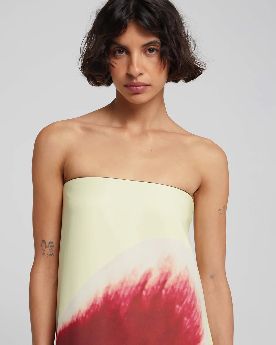 Isabella | Vestido Antheia